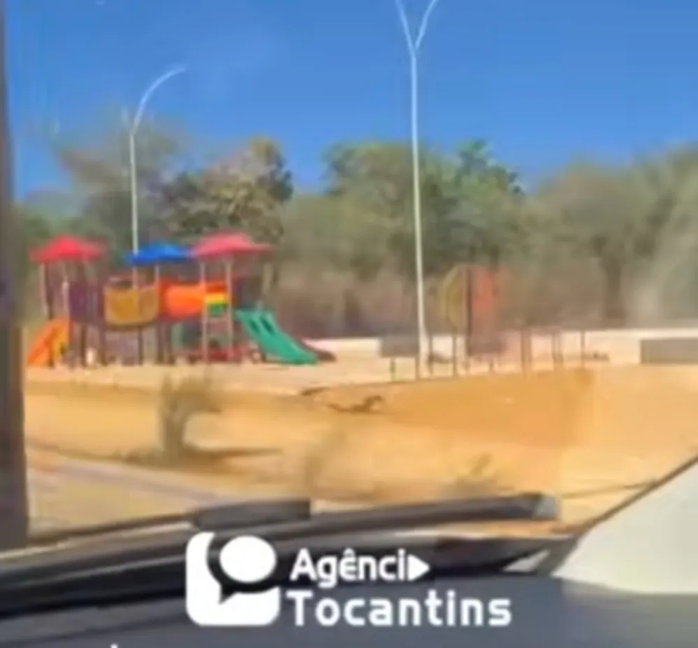 Parquinho infantil instalado próximo ao IML em Palmas gera críticas nas redes sociais